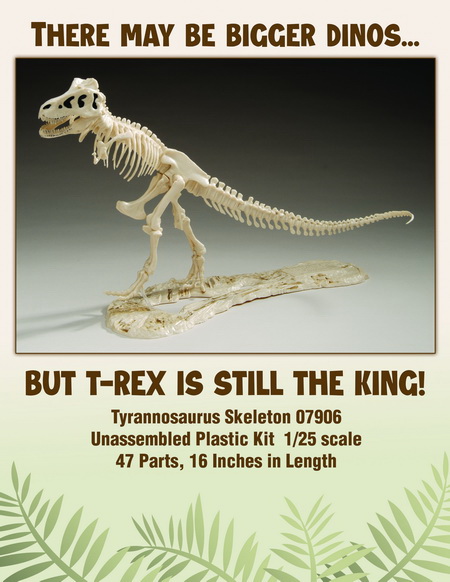 T-Rex-24